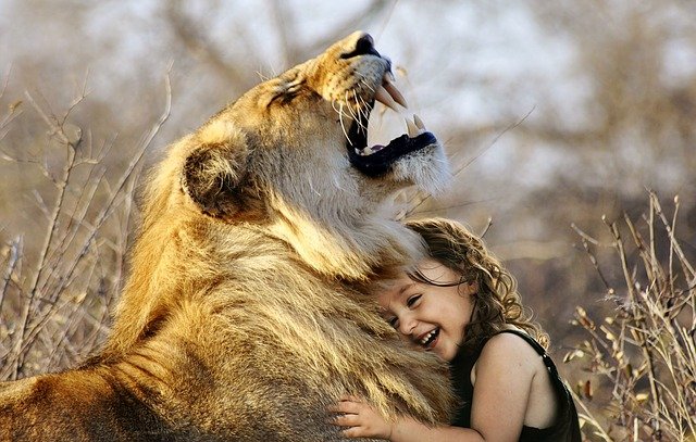 dívka s lvicí